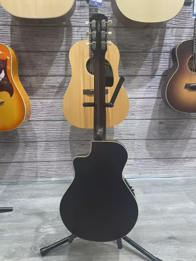 Store Special Product - Yamaha - APXT2 DRB